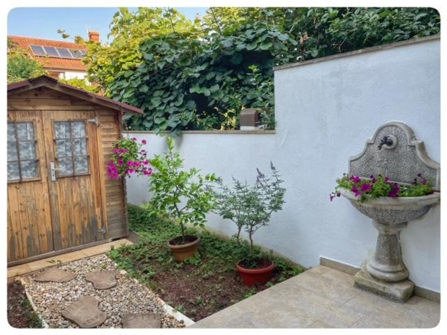 Apartman Sorgo Apartment Zambratija  Exterior foto